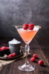 Discover the elegant French Martini with its silky blend of vodka, Chambord and pineapple juice. A classic cocktail inspired by the romance of Paris, complete with recipe, story and Traveltini travel inspiration.